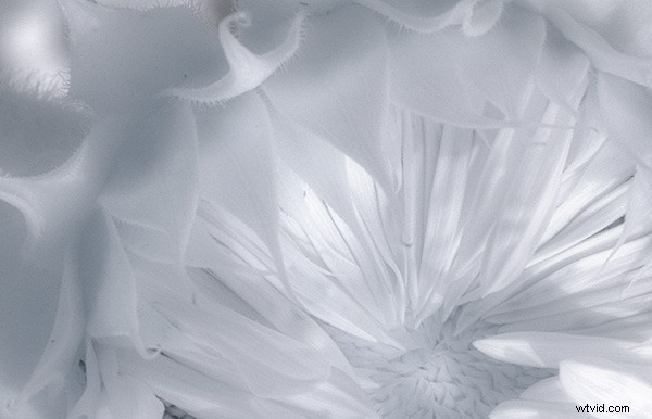 5 Expert Photoshop Techniques for Stunning Infrared Photo Processing