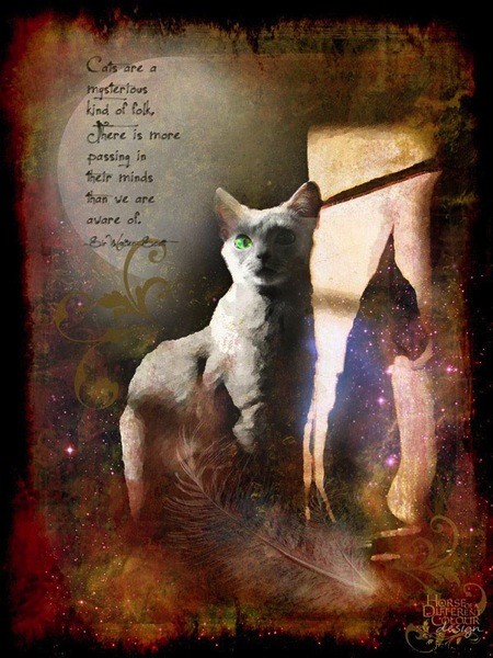 Master Photoshop Artistry: 4 Proven Steps to Fine Art Grunge Excellence