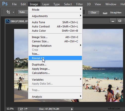 Straighten Crooked Images in Photoshop: Easy Step-by-Step Guide with Crop Tool