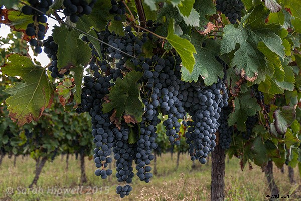 Master 4 Stunning Lighting Effects in Photoshop: Pro Tutorials