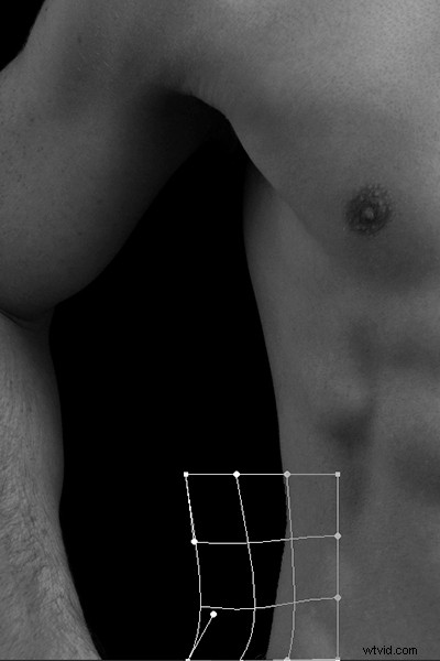 Master Photoshop s Warp Command: 4 Essential Techniques for Stunning Transformations