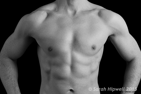 Master Photoshop s Warp Command: 4 Essential Techniques for Stunning Transformations