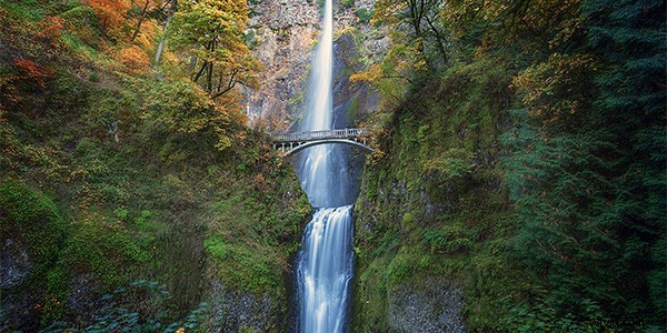 Master Photoshop Cropping: Pro Techniques for Perfect Ratios and Panoramas