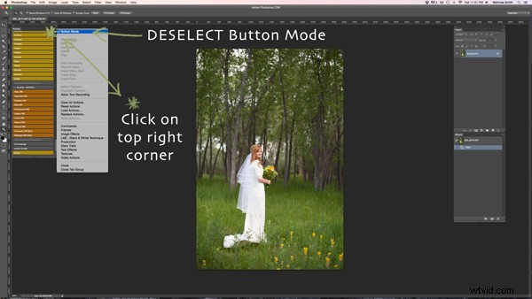 Master Photoshop Actions: Install, Create & Supercharge Your Workflow