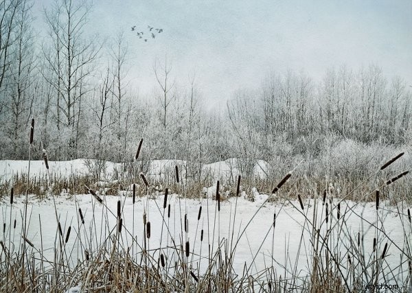 How to Create Custom Photoshop Brushes: Easy Step-by-Step Guide