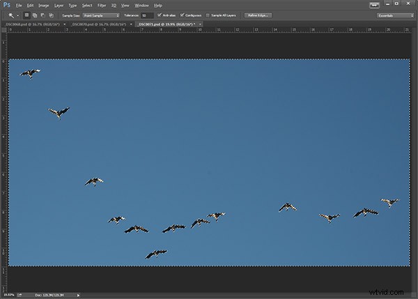 How to Create Custom Photoshop Brushes: Easy Step-by-Step Guide