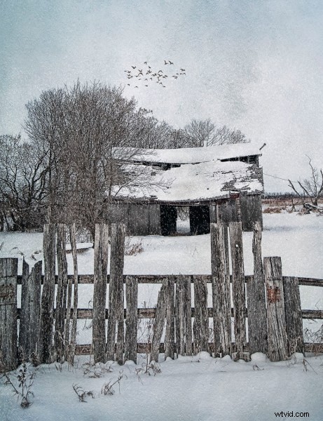 How to Create Custom Photoshop Brushes: Easy Step-by-Step Guide