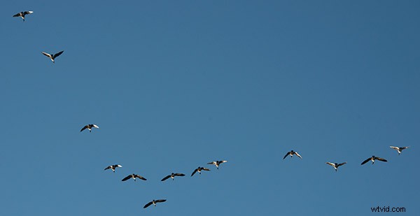 How to Create Custom Photoshop Brushes: Easy Step-by-Step Guide