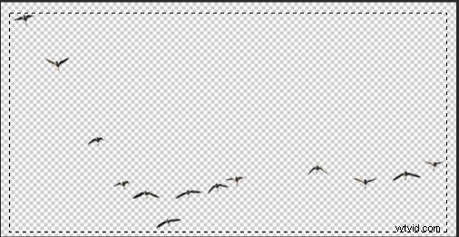 How to Create Custom Photoshop Brushes: Easy Step-by-Step Guide