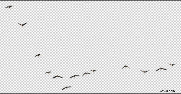 How to Create Custom Photoshop Brushes: Easy Step-by-Step Guide