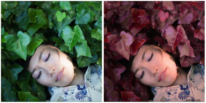 Create Stunning Surreal Effects in Photoshop: Easy Hue Adjustment Tutorial