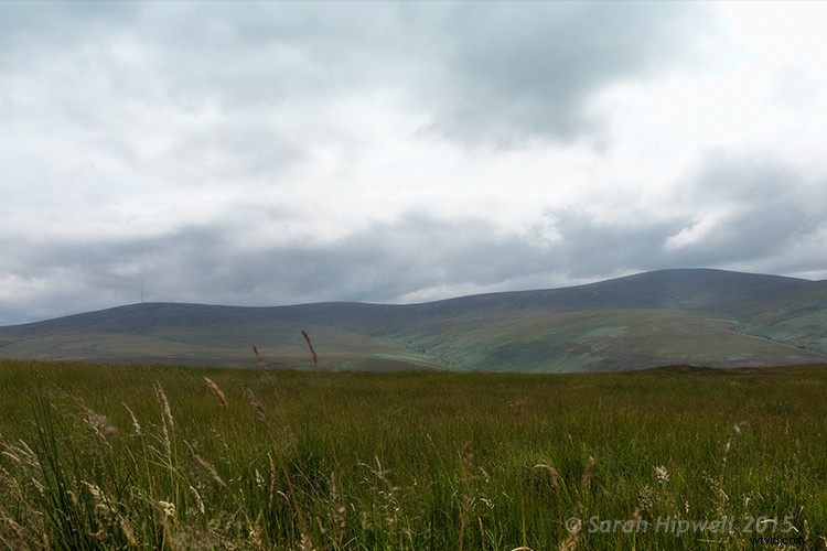 3 Easy Photoshop Presets to Transform Your Landscape Photos