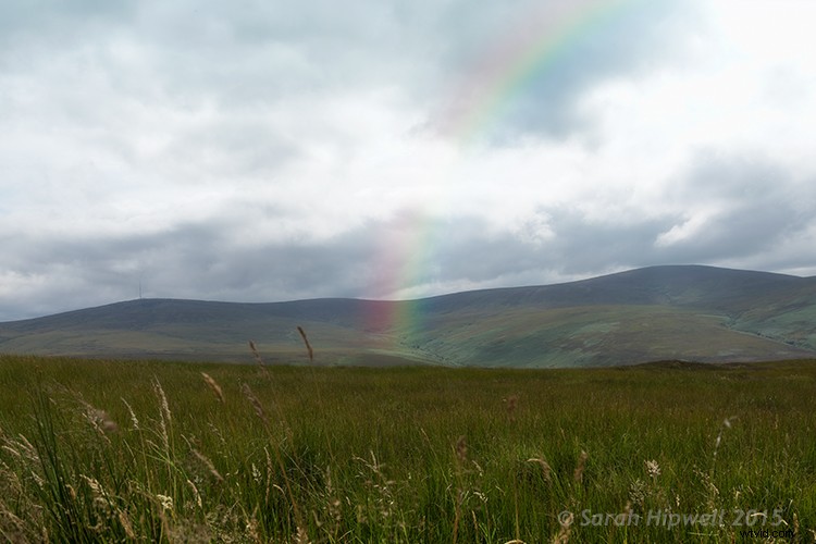 3 Easy Photoshop Presets to Transform Your Landscape Photos