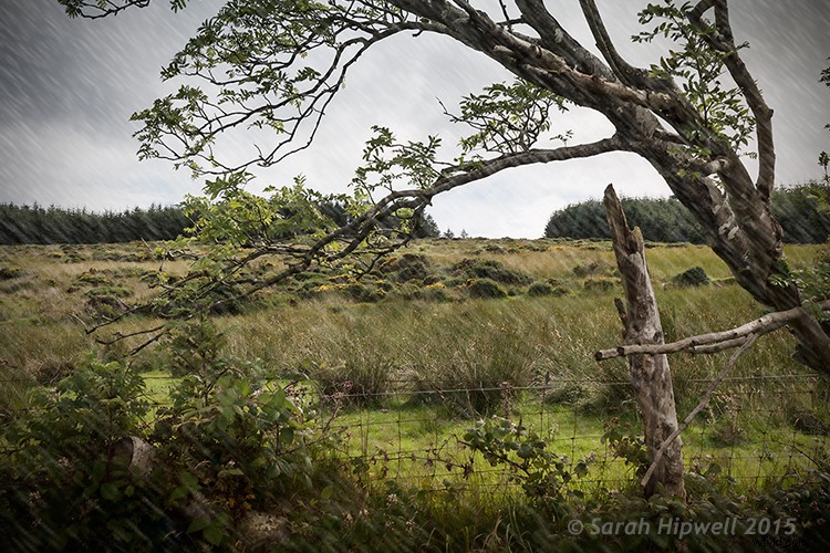 3 Easy Photoshop Presets to Transform Your Landscape Photos