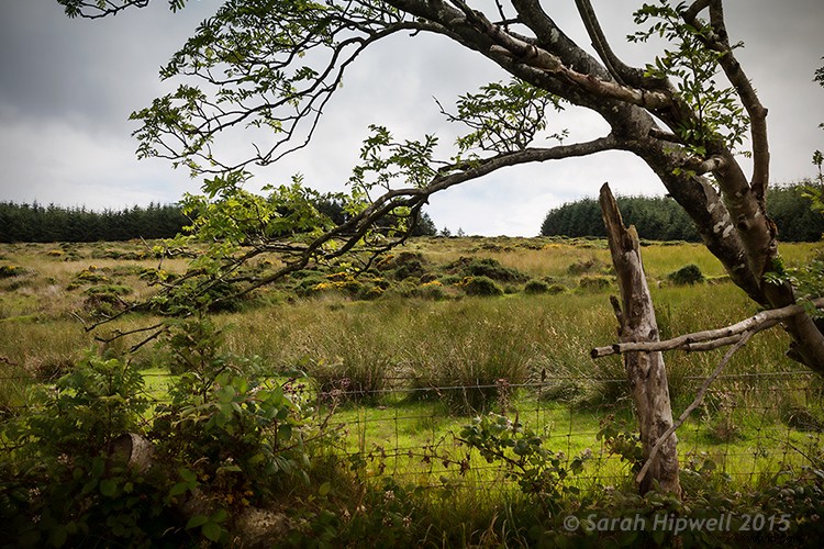 3 Easy Photoshop Presets to Transform Your Landscape Photos