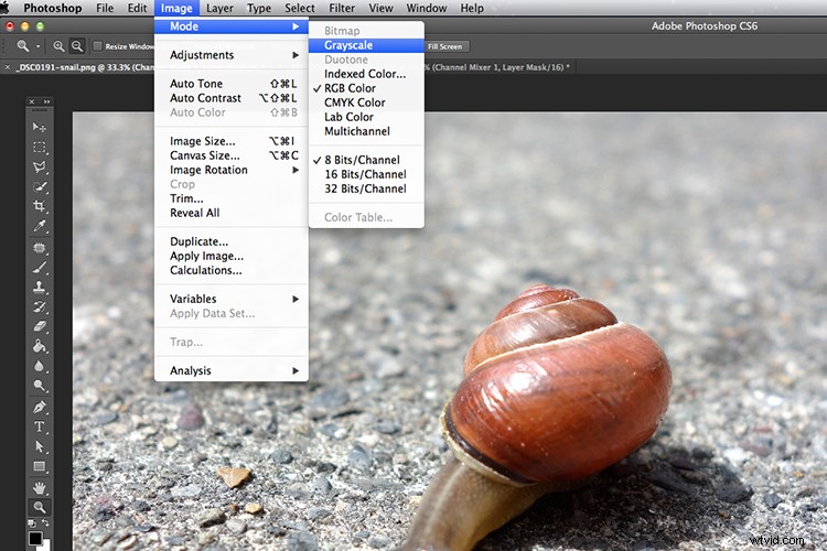 Photoshop Tutorial: Convert Images to Black & White with Stunning Color Tints