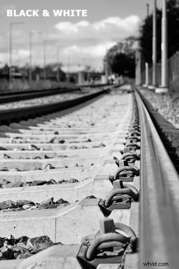 Photoshop Tutorial: Convert Images to Black & White with Stunning Color Tints