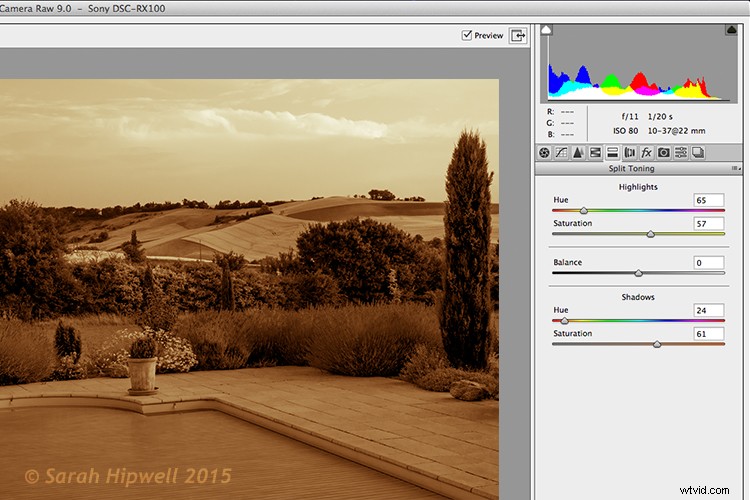 Photoshop Tutorial: Convert Images to Black & White with Stunning Color Tints