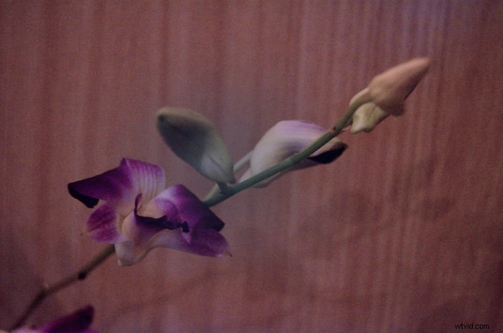 Master Texture Overlays in Photoshop: The Ultimate Beginner s Guide