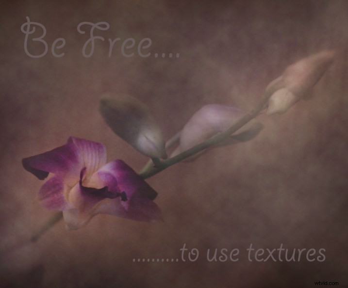 Master Texture Overlays in Photoshop: The Ultimate Beginner s Guide