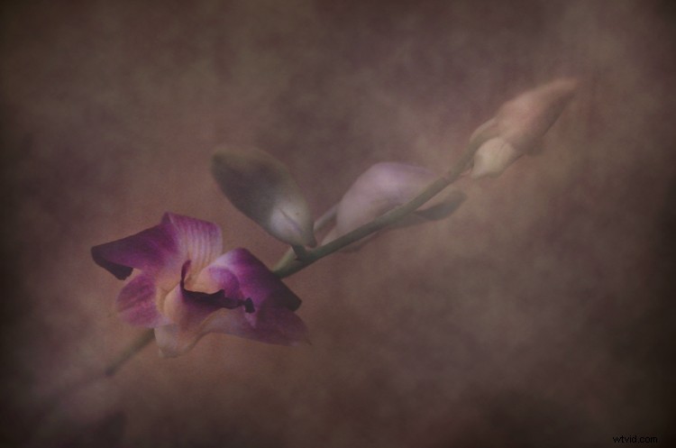 Master Texture Overlays in Photoshop: The Ultimate Beginner s Guide