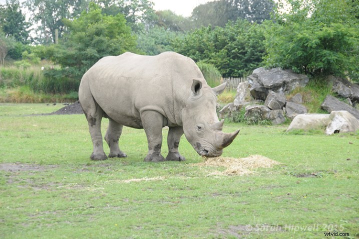 3 Essential Photoshop Techniques to Perfectly Correct Image Exposure