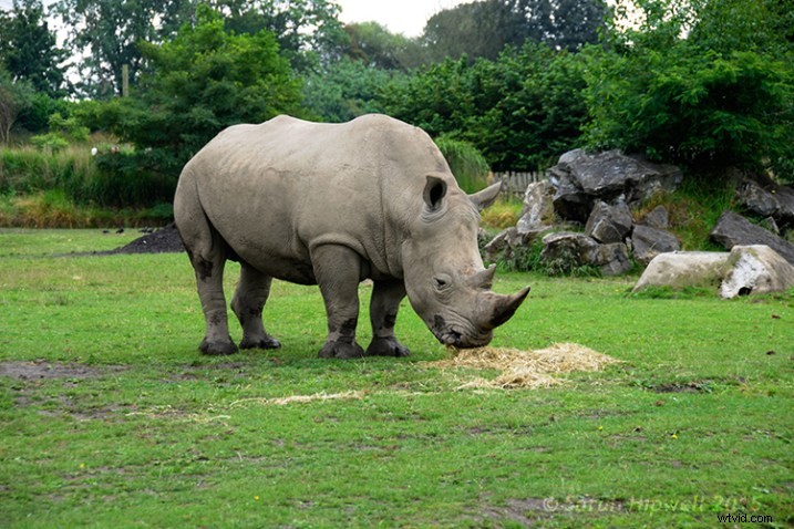 3 Essential Photoshop Techniques to Perfectly Correct Image Exposure