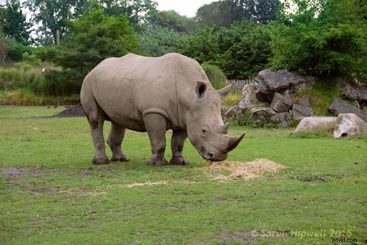 3 Essential Photoshop Techniques to Perfectly Correct Image Exposure