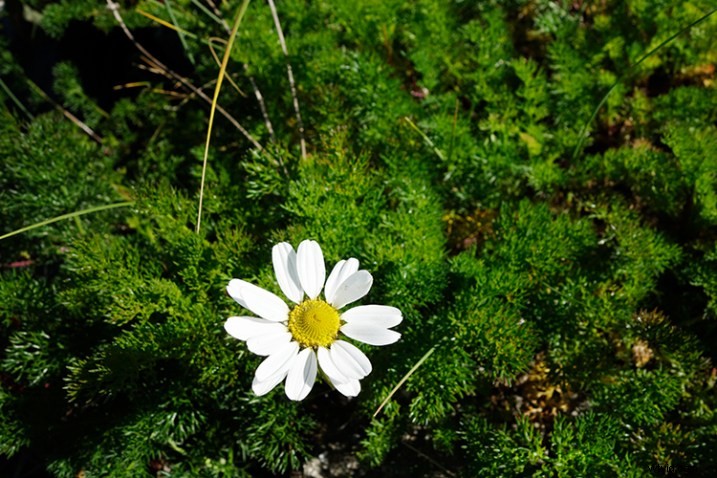 3 Essential Photoshop Techniques to Perfectly Correct Image Exposure