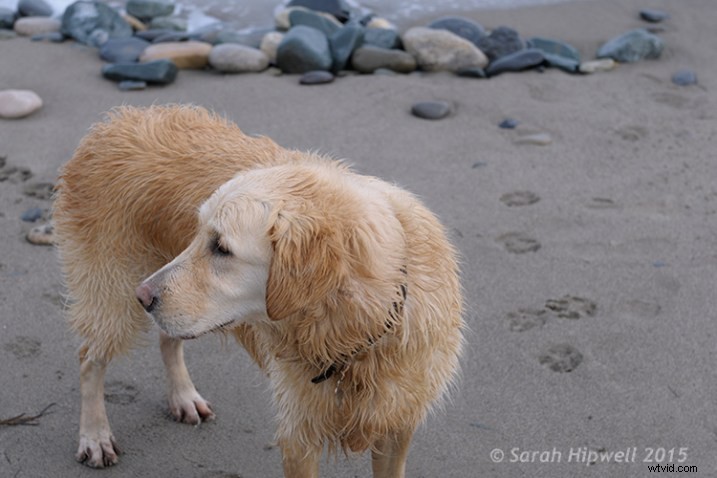 3 Essential Photoshop Techniques to Perfectly Correct Image Exposure