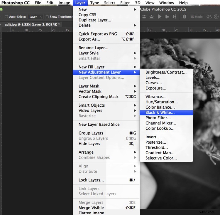 3 Expert Photoshop Techniques for Stunning Black & White Photo Conversions