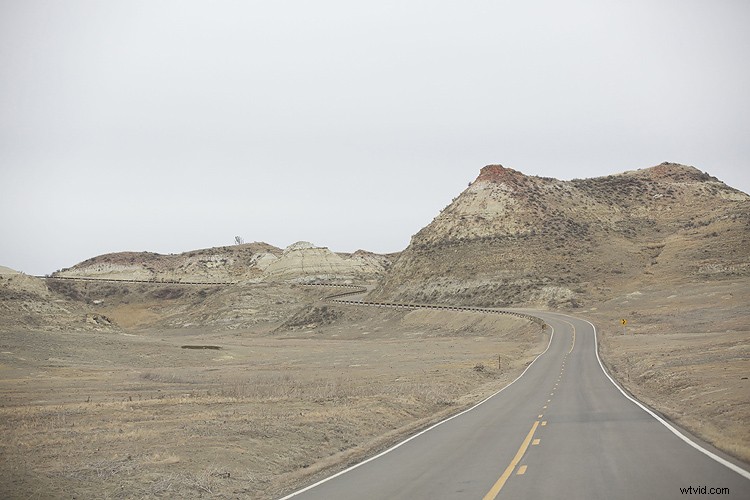 Master Photoshop s Spot Healing Brush: Remove Blemishes Effortlessly