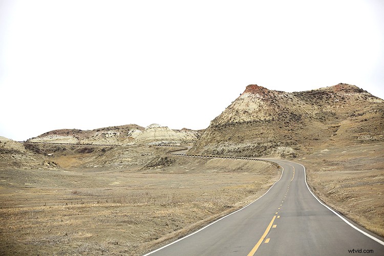 Master Photoshop s Spot Healing Brush: Remove Blemishes Effortlessly