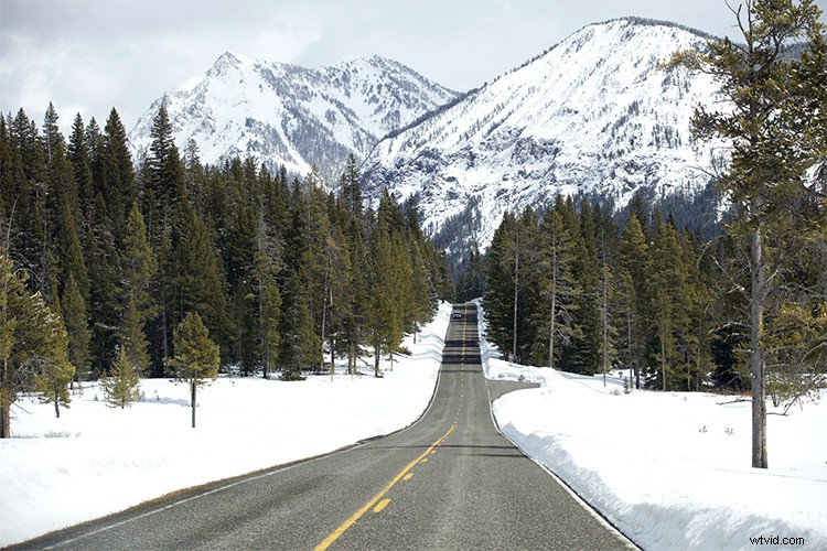 Master Photoshop s Spot Healing Brush: Remove Blemishes Effortlessly