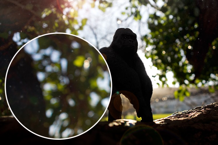 Master Realistic Lens Flare and Dust Particles in Photoshop: Pro Tutorial