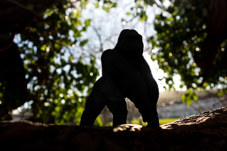 Master Realistic Lens Flare and Dust Particles in Photoshop: Pro Tutorial