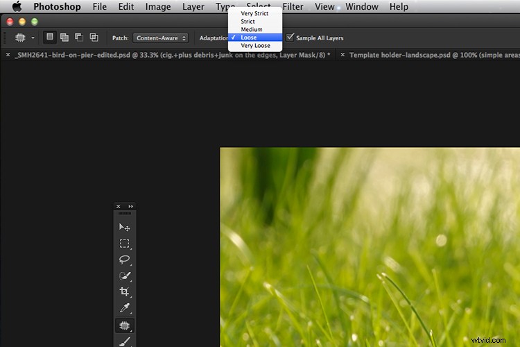 Master the Patch Tool in Photoshop: Step-by-Step Tutorial