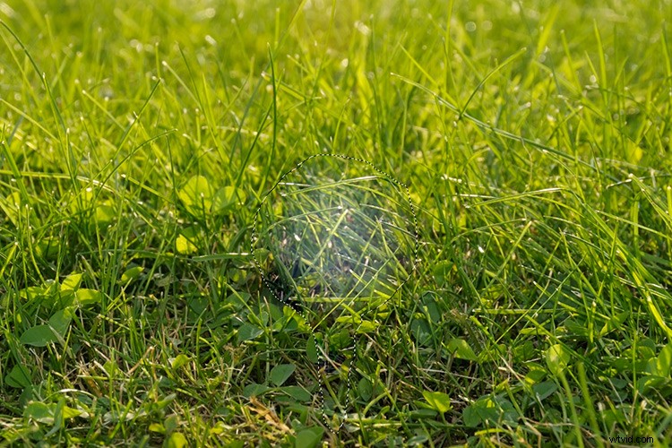 Master the Patch Tool in Photoshop: Step-by-Step Tutorial