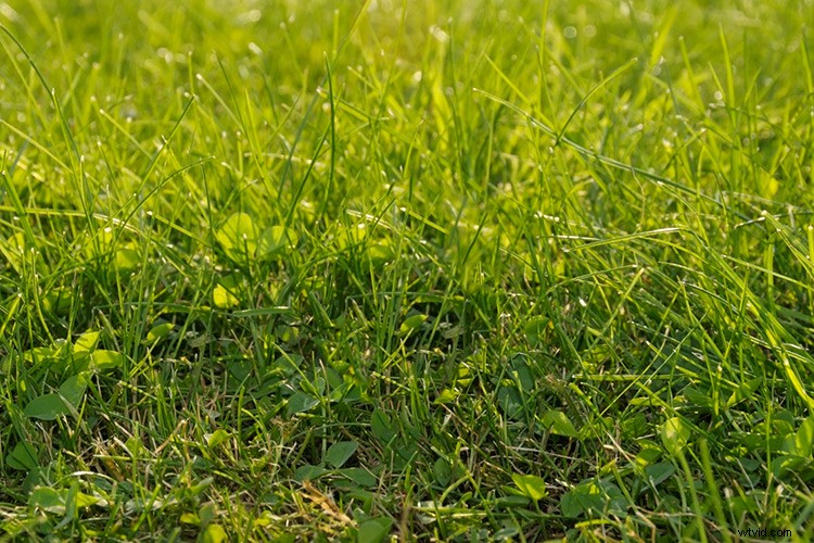 Master the Patch Tool in Photoshop: Step-by-Step Tutorial