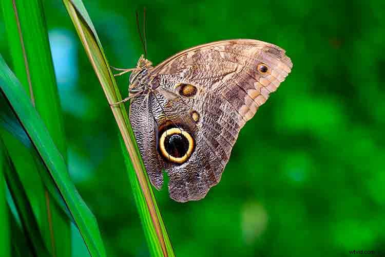 Create Dramatic Rim Light Effects in Photoshop: Step-by-Step Guide