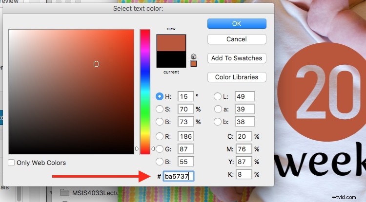 Create Stunning Baby Milestone Photos in Photoshop: Step-by-Step Guide