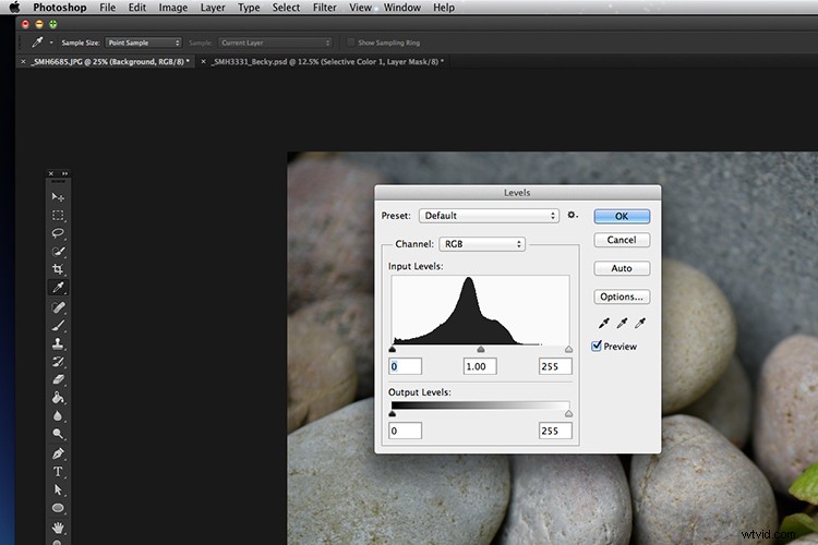 Master Photoshop: Top 3 Adjustment Layers for Non-Destructive Editing