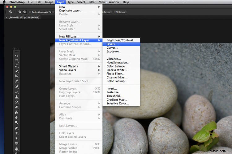 Master Photoshop: Top 3 Adjustment Layers for Non-Destructive Editing