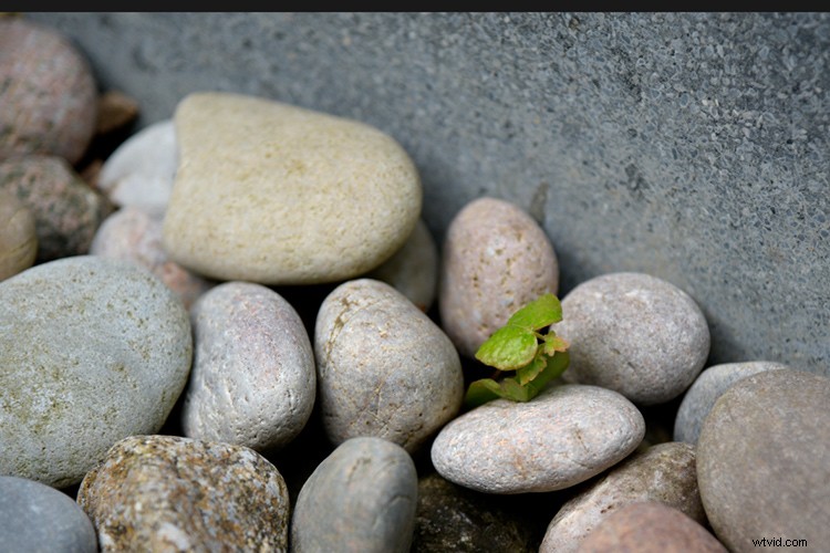 Master Photoshop: Top 3 Adjustment Layers for Non-Destructive Editing