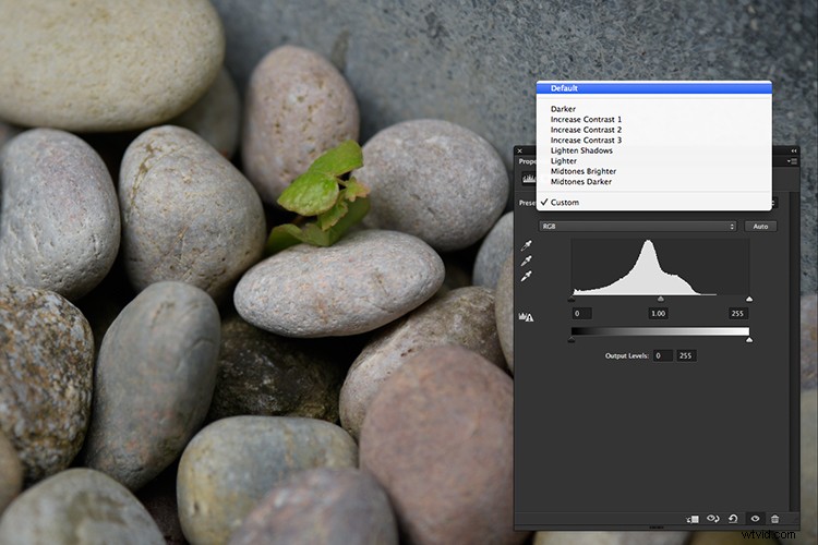 Master Photoshop: Top 3 Adjustment Layers for Non-Destructive Editing