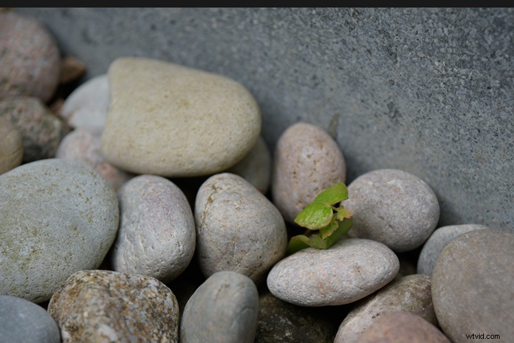 Master Photoshop: Top 3 Adjustment Layers for Non-Destructive Editing