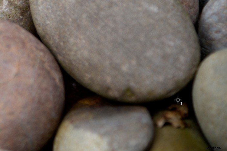 Master Photoshop: Top 3 Adjustment Layers for Non-Destructive Editing