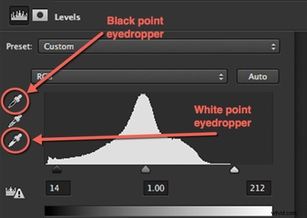 Master Photoshop: Top 3 Adjustment Layers for Non-Destructive Editing