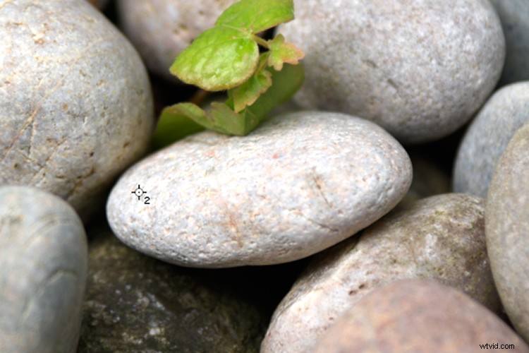 Master Photoshop: Top 3 Adjustment Layers for Non-Destructive Editing