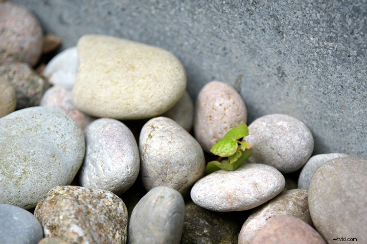 Master Photoshop: Top 3 Adjustment Layers for Non-Destructive Editing